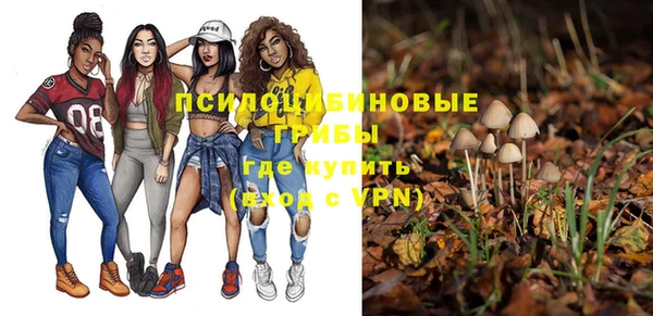 гашик Баксан