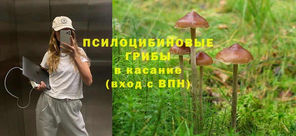 дмт Балахна