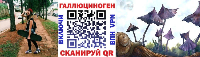 Псилоцибиновые грибы GOLDEN TEACHER  как найти закладки  площадка наркотические препараты  Макарьев 